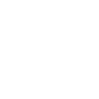 Naviaka Cruise Logo